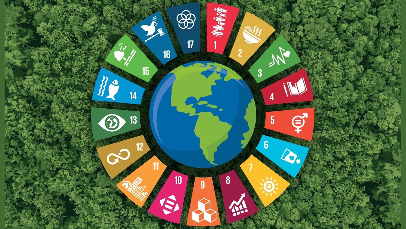 OECD Raporu: Gelişmekte Olan Ülkelerde Vergi-GSYH Oranları ve Uluslararası Vergi İşbirliği